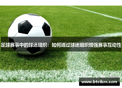 足球赛事中的球迷组织：如何通过球迷组织增强赛事互动性