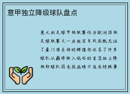 意甲独立降级球队盘点